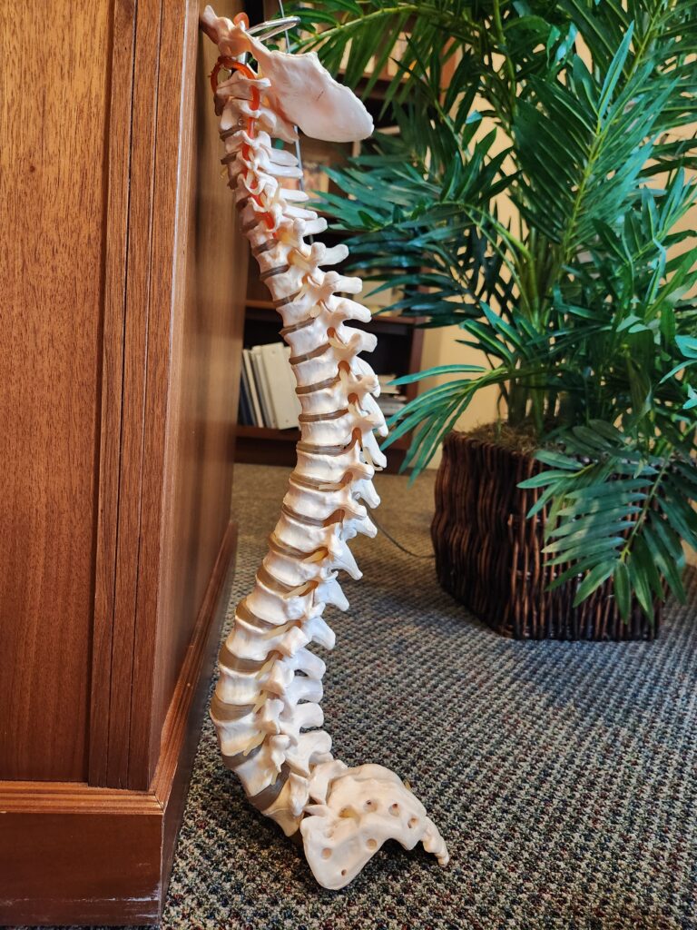 Sanford NC pediatric chiropractor pediatric chiropractic care Sanford NC children spinal adjustment Sanford Sanford NC child wellness chiropractor infant chiropractic care Sanford kids posture correction Sanford NC Sanford NC pediatric back pain relief child nervous system support Sanford Sanford NC gentle chiropractic for children pediatric sports injury treatment Sanford Sanford NC pediatric neck and back care kids mobility improvement Sanford Sanford NC chiropractic for infants and toddlers child growth support chiropractic Sanford Sanford NC safe chiropractic for children